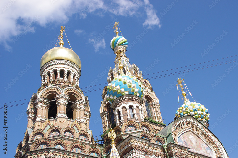 Fototapeta premium Church of the Savior on Spilled Blood ver.3/St. Petersburg,Russian