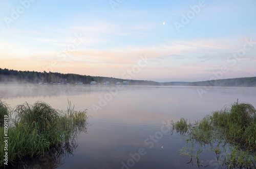 Misty morning