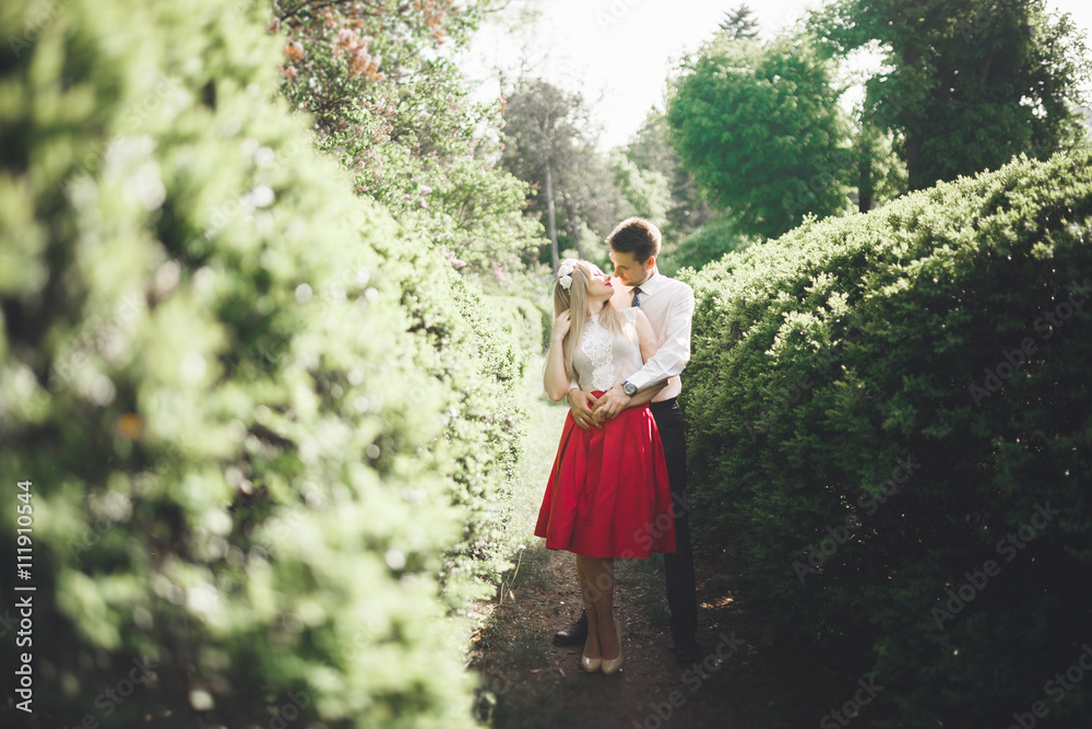 Stylish beautiful happy wedding couple kissing and embracing in Botanical Garden Stylish beautiful happy wedding couple kissing and embracing in Botanical Garden
