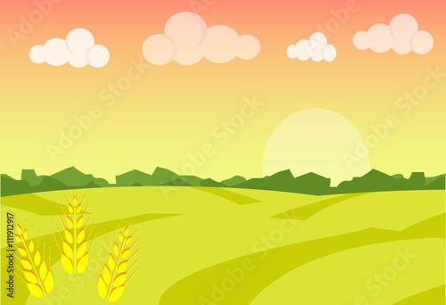 Wheat field ripe grow, agriculture. Farm landscape. Farm landscape illustration. Field wheat background. Farm sunrise background. Vector illustration © TTP999