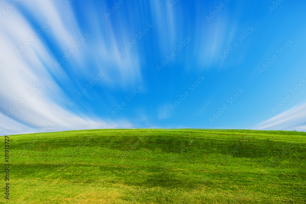 Fototapeta premium field of green grass and blue sky