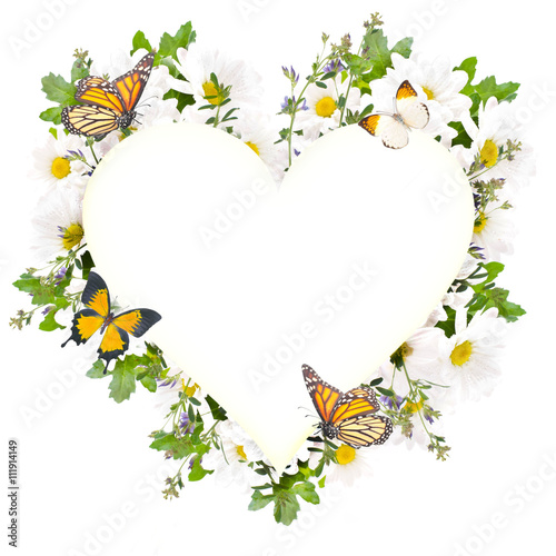 Fototapeta Naklejka Na Ścianę i Meble -  Beautiful daisies and butterfly, flower, floral background