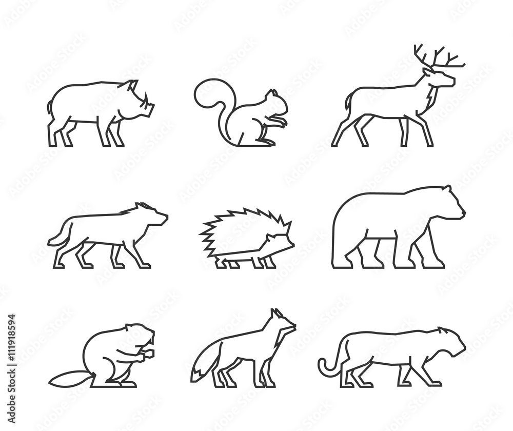 Cool line icons forest animals Cool line icons forest animals