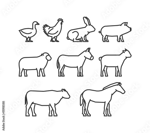 Fototapeta Naklejka Na Ścianę i Meble -  Cool line icons farm animals