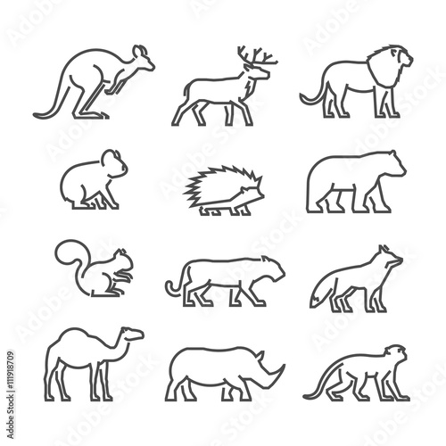 Cool line icons wild animals