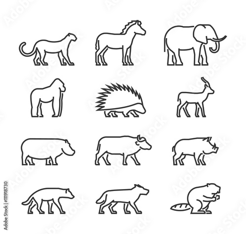 Cool line icons wild animals.