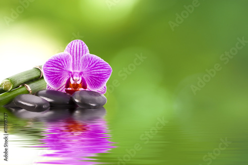 flowers with stones and bamboo on spa