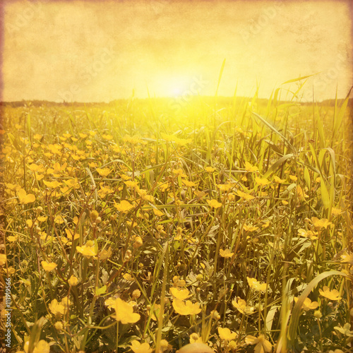 Foto Grunge image of spring field at sunset.