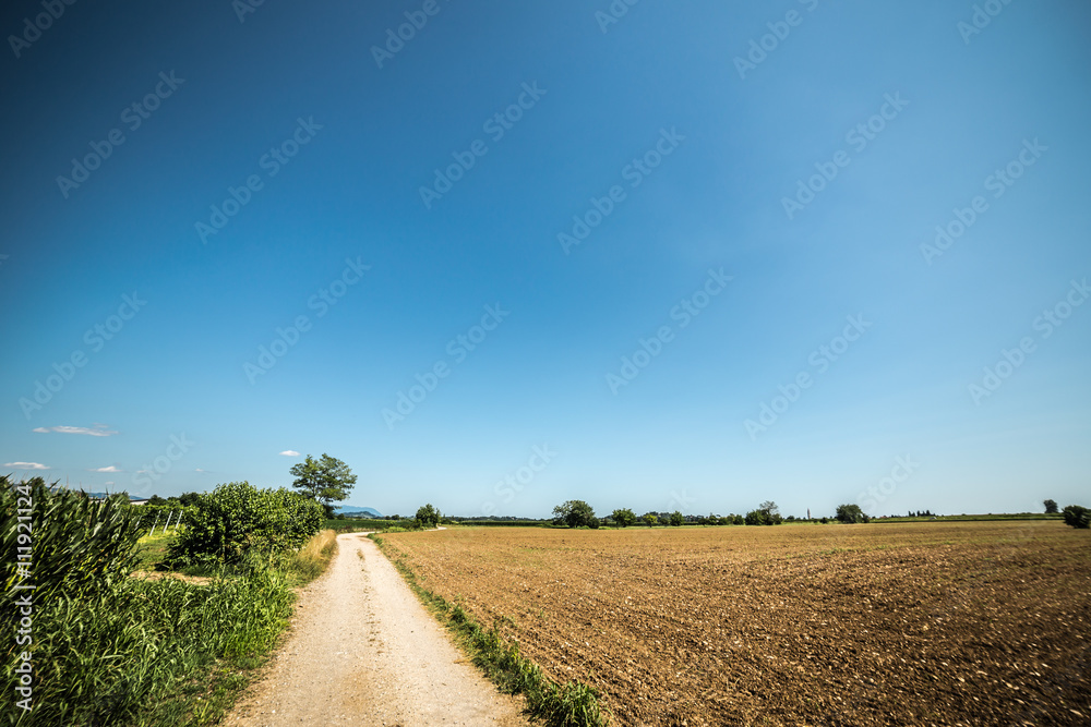 road through the fields