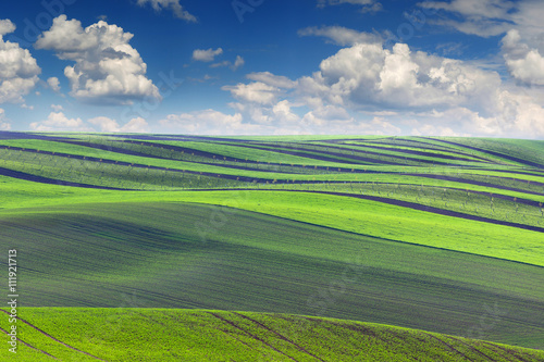 Spring Landscape of fields in beautiful striped hills valley photo