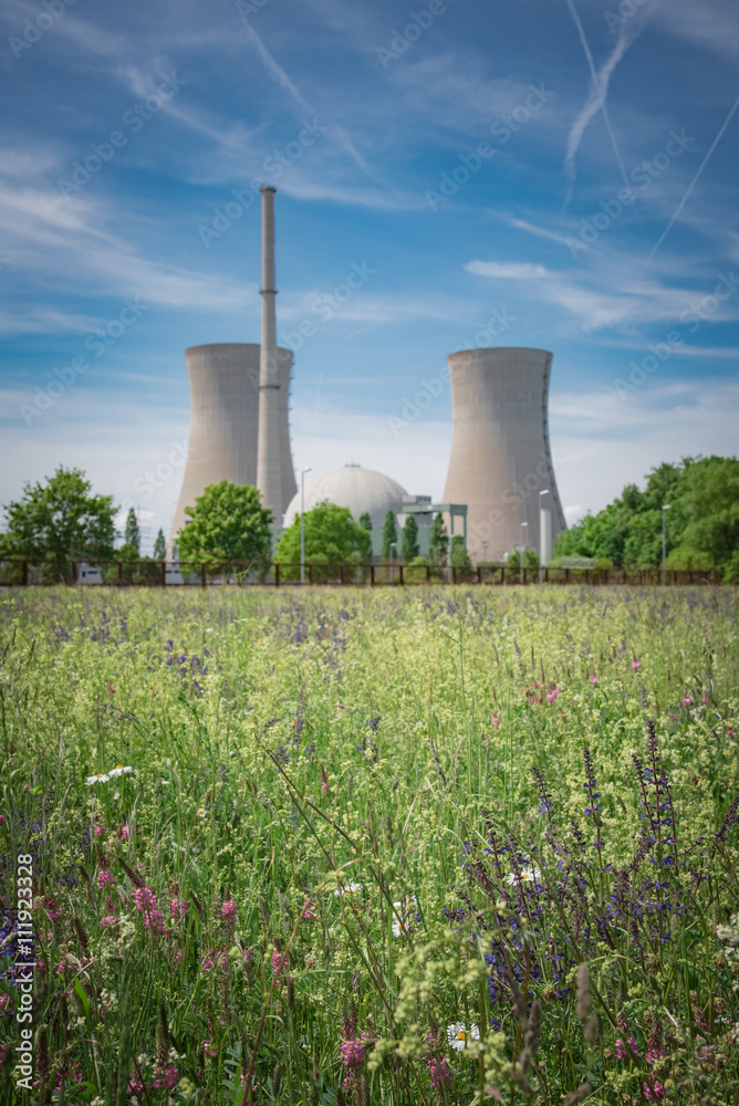 Blumenwiese mit Kernkraftwerk im  Hintergrund