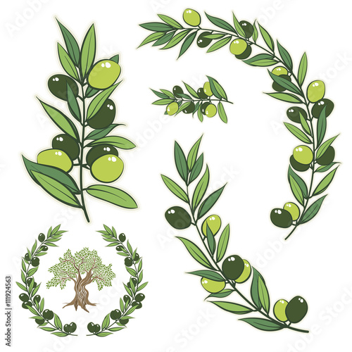 Vector wreath with olive branch and olive tree.