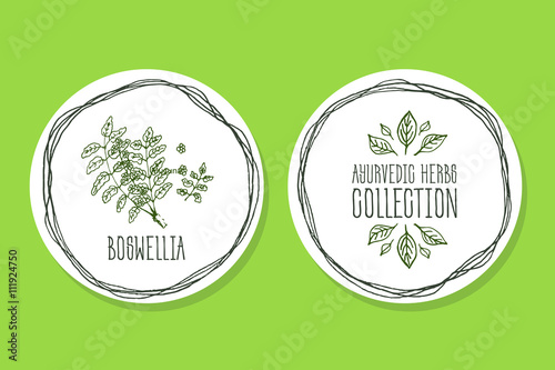 Ayurvedic Herb - Product Label wit Boswellia