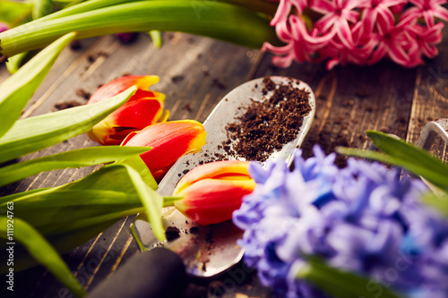 Tulips, hyacinths and gardening scoop