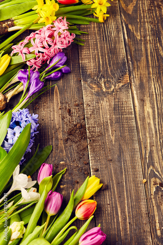 Beautiful spring flowers