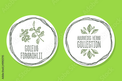 Ayurvedic Herb - Product Label with Coleus forskohlii