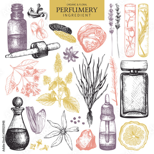 Vector collection of hand drawn perfumes and cosmetics sketch. Vintage set of aromatic plants for high-quality scented industry