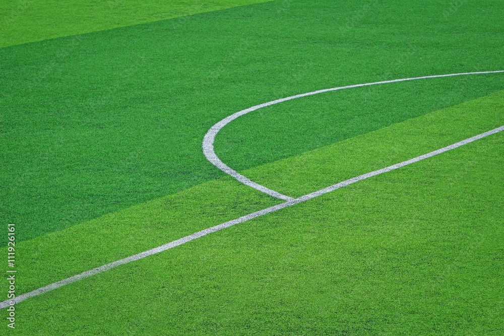 artificial turf of Soccer football field