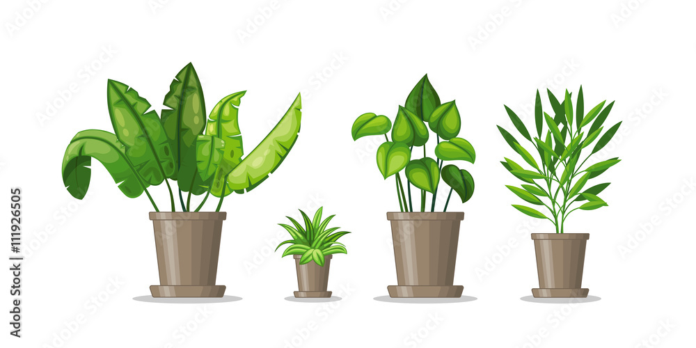 Set with four potted plants Set with four potted plants