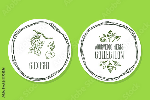 Ayurvedic Herb - Product Label with Guduchi