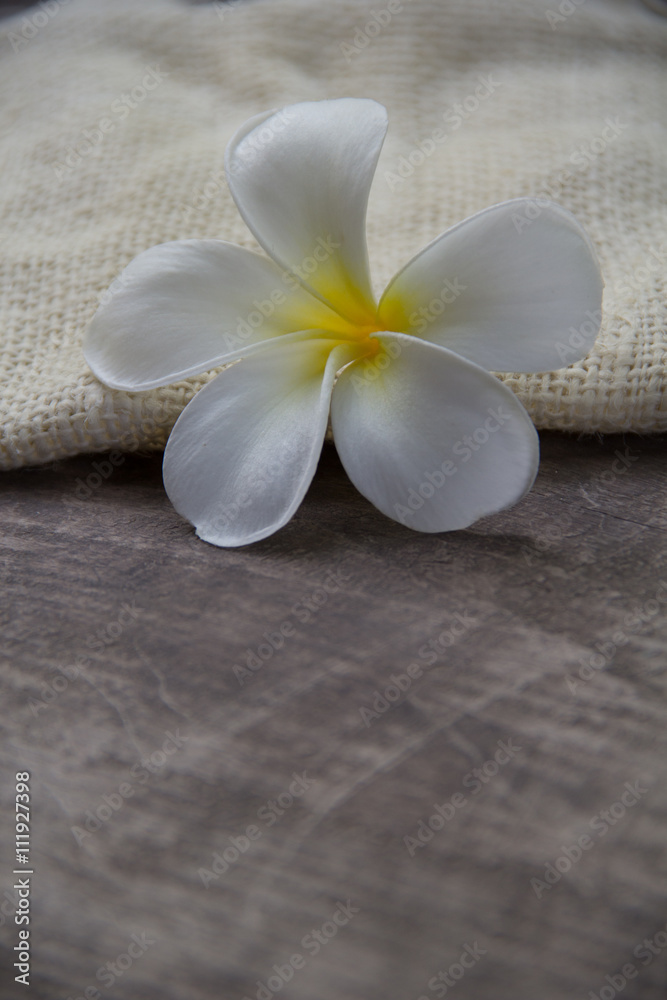 Wood background with Plumeria(frangipani) Wood background with Plumeria(frangipani)