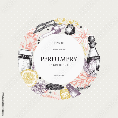 Vector design with hand drawn perfumery and cosmetics ingredients. Decorative background with vintage aromatic plants for perfumery