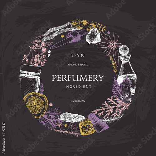 Vector design with hand drawn perfumery and cosmetics ingredients. Decorative background with vintage aromatic plants for perfumery chalkboard