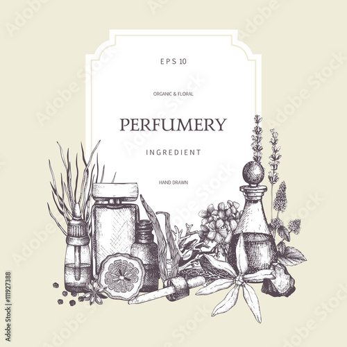 Vector design with hand drawn perfumery and cosmetics ingredients. Decorative background with vintage aromatic plants for perfumery