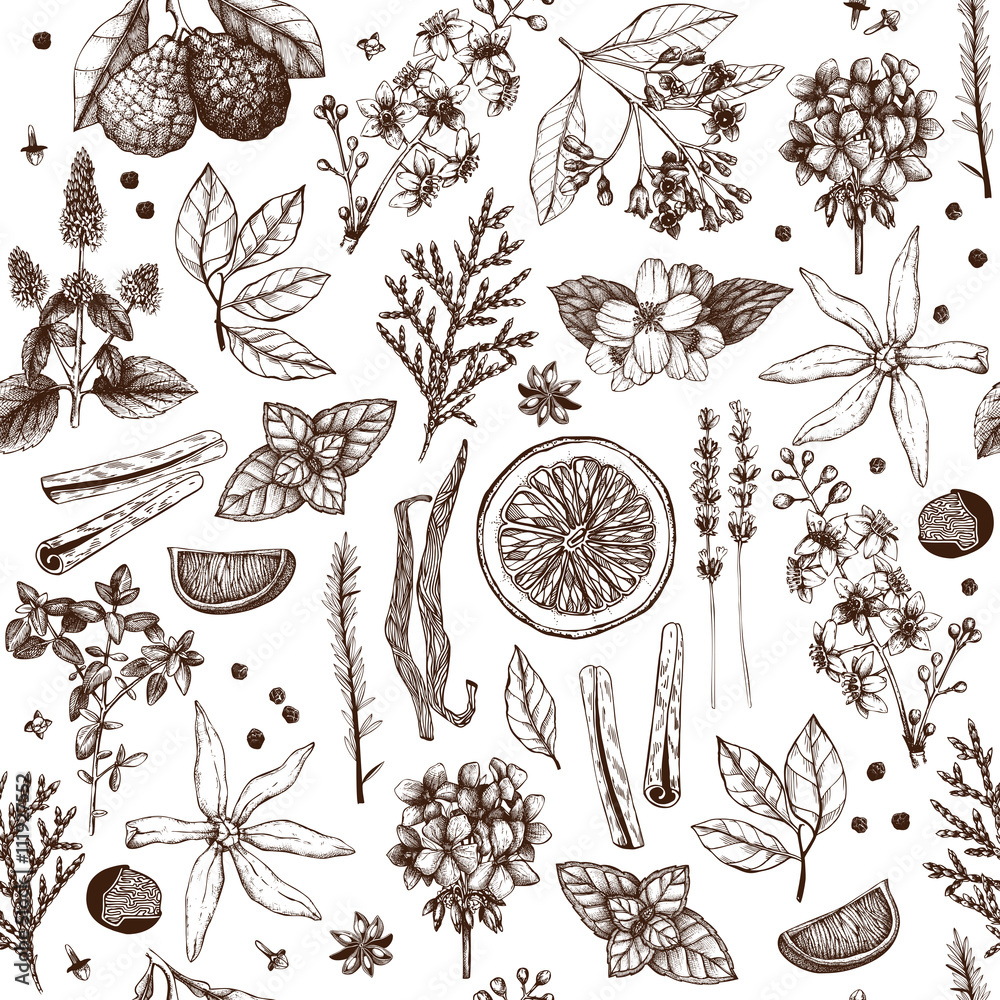 Vector seamless pattern with hand drawn perfumery and cosmetics ingredient sketch. Vintage background with aromatic plants for high-quality cosmetics and scented industry Vector seamless pattern with hand drawn perfumery and cosmetics ingredient sketch. Vintage background with aromatic plants for high-quality cosmetics and scented industry