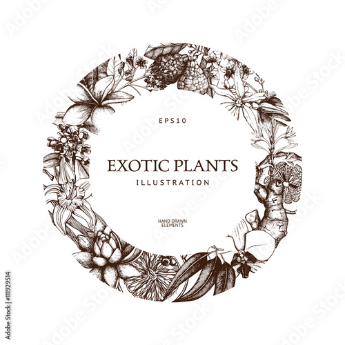 Vintage frame design with ink hand drawn exotic fruit, flowers and leaves sketch. Tropical flowers background. Vector template.
