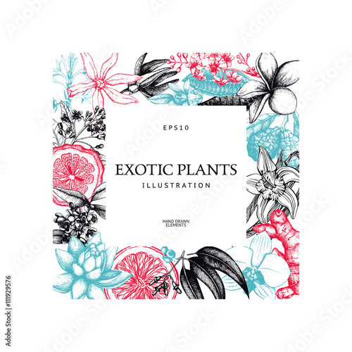 Vintage frame design with ink hand drawn exotic fruit, flowers and leaves sketch. Tropical flowers background. Vector template.