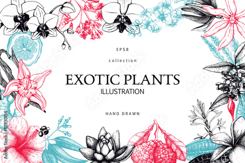 Vintage frame design with ink hand drawn exotic fruit, flowers and leaves sketch. Tropical flowers background. Vector template.