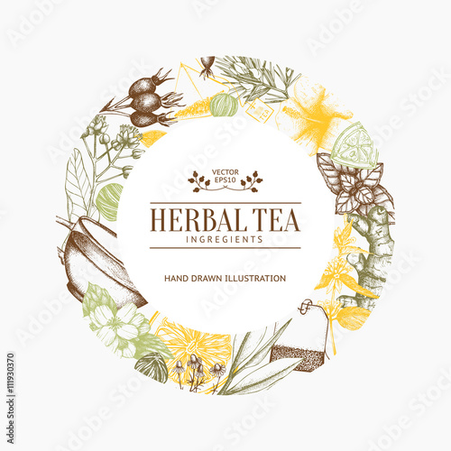 Vintage card design with hand drawn tea sketch. Vector template. Retro illustration with herbs and fruits