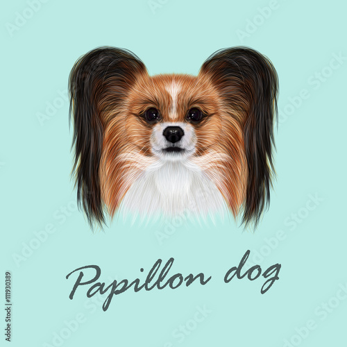 Vector Illustrated Portrait of Papillon dog.