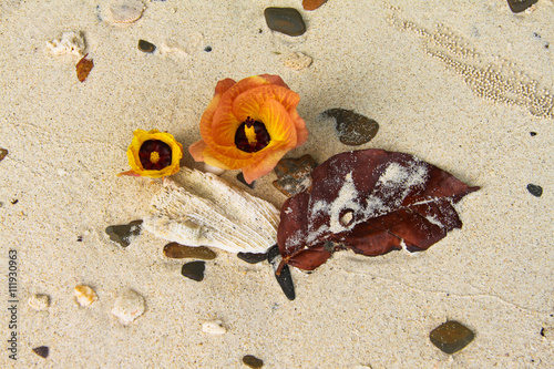 A composition of sea hibiscus (hibiscus tiliaceus), leaf and coral on the sand