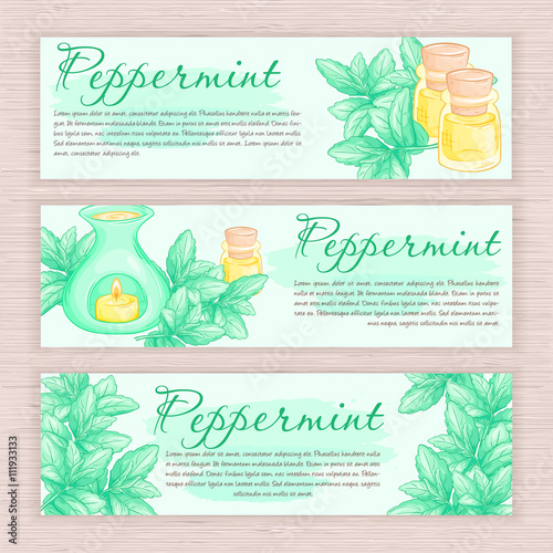 vector hand drawn banner with peppermint and oil burner
