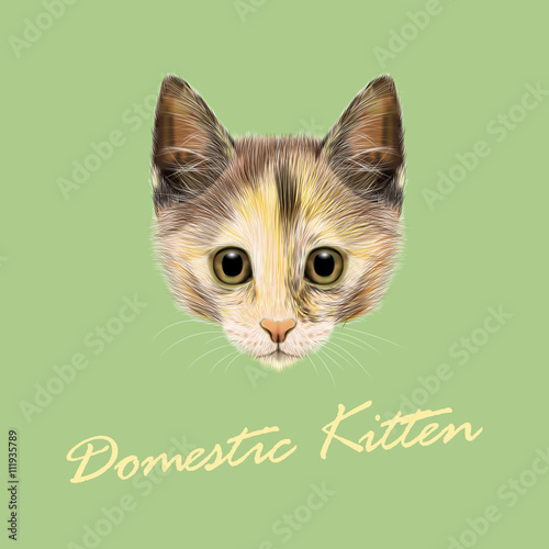 Vector Illustrated portrait of Domestic cat. © ant_art19