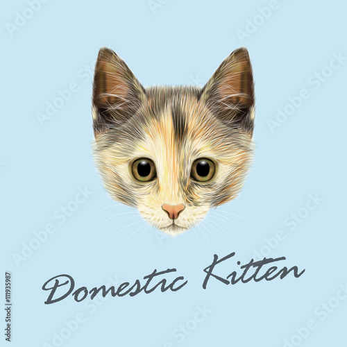 Vector Illustrated portrait of Domestic cat.