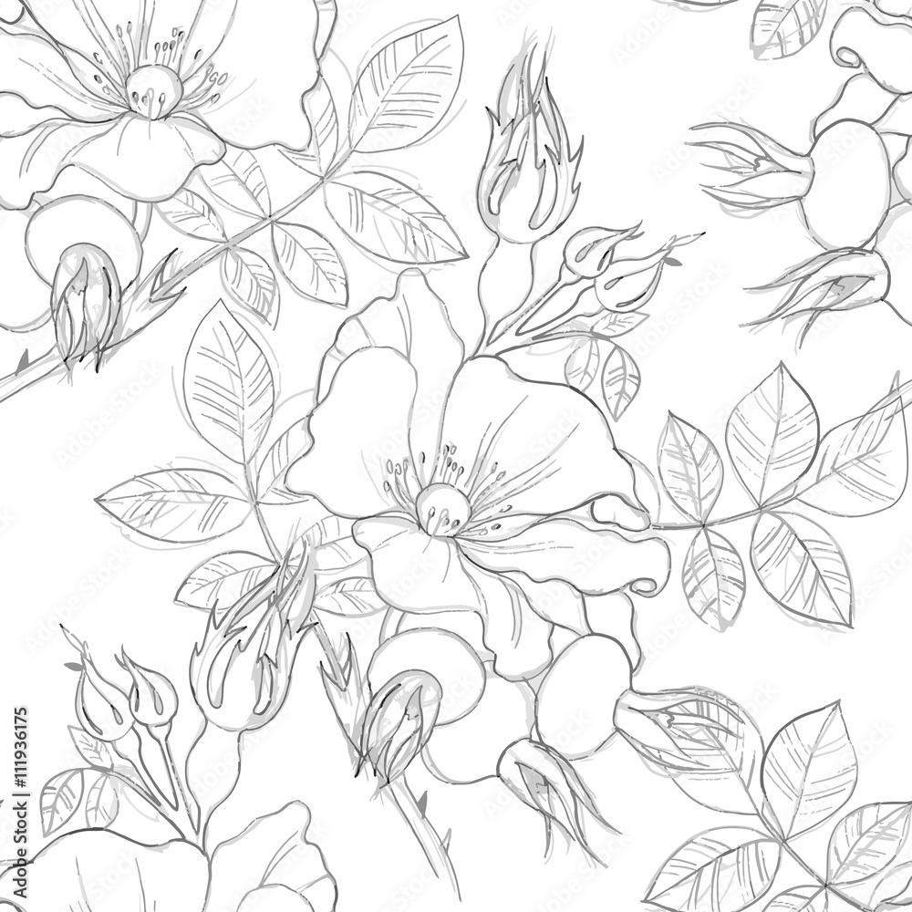 seamless pattern of wild roses