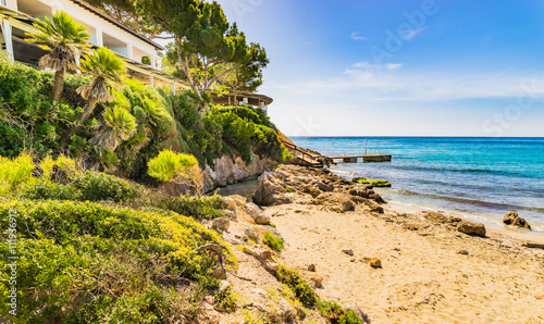 Idyllic view of Mediterranean Sea plants and beach