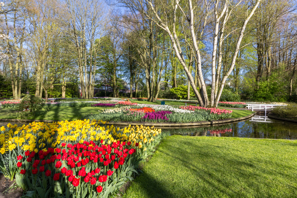 Keukenhof Gardens during spring time