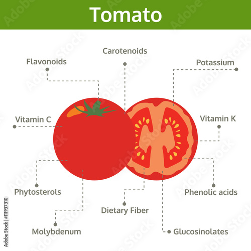 tomato nutrient of facts and health benefits, info graphic veget