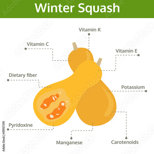 winter squash nutrient of facts and health benefits, info graphi