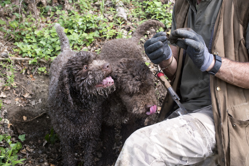 Truffle hunter and dogs