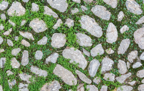 Stones and grass in the garden. Green and grey texture. Can be used as background