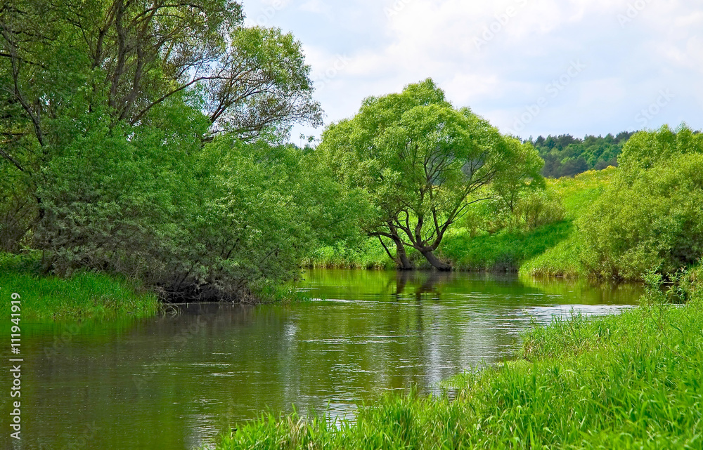 Riverside Luzha River in the Kaluga region