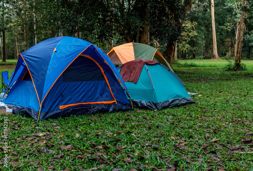 Camping Tent National Park © taaee