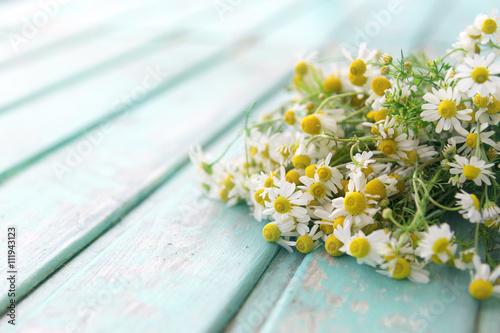 Kamillenblüten auf türkisfarbenem Holzhintergrund photo