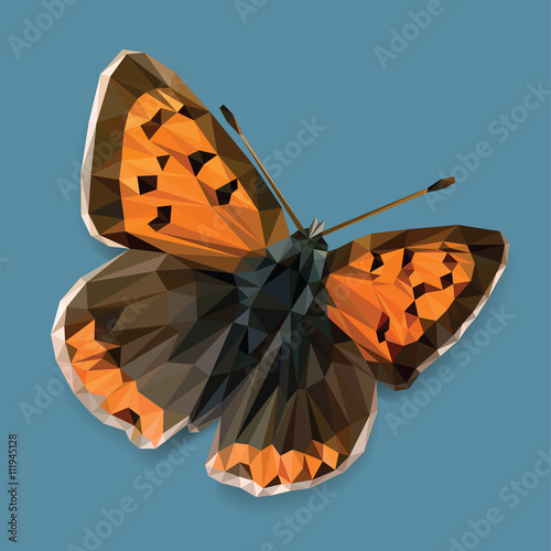 Orange butterfly low polygon