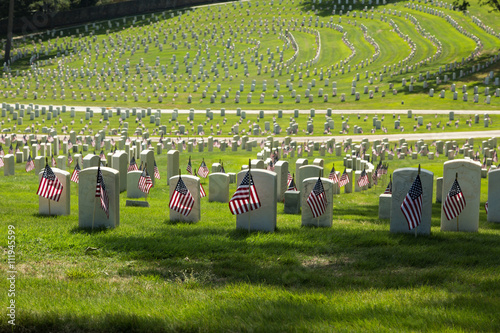 National Cemetery photo